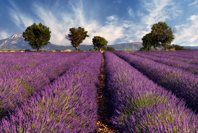  A magnificent landscape in Europe